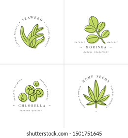 Vector design element and icon in linear style - chlorella, hemp seeds, seaweed and moringa - healthy eco food. Organic ingredient. Detox supplements. Logo sign