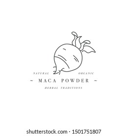 Vector design element and icon in linear style - maca powder - healthy eco food. Organic ingredient. Detox supplements. Logo sign