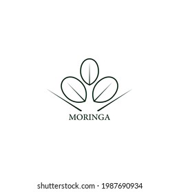 Vector design element and icon in linear style - moringa - healthy eco food. Organic ingredient. Detox supplements. Logo sign