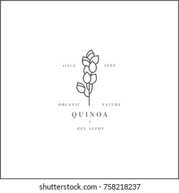 Vector Design Element And Icon In Linear Style - Quinoa - Healthy Eco Food. Organic Ingredient. Logo Sign