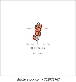 Vector design element and icon in linear style - quinoa - healthy eco food. Organic ingredient. Logo sign