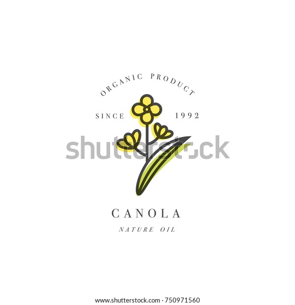 Vector design element and\
icon in linear style - rapeseed oil - healthy vegan food. Logo sign\
canola