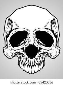 Vector design element : skull head