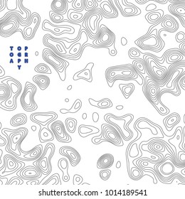 Vector design element. Topography map.