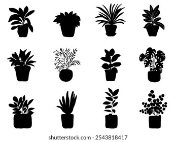 Vector design elements collection of fern green forest, green art leaves natural herb in silhouette beauty decoration elegant illustration for design.