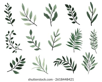 Vector design elements collection of plant green forest, green art leaves natural herb in silhouette beauty decoration elegant illustration for design.