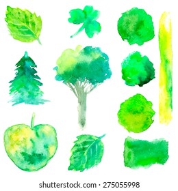 Vector design elements. Hand drawn watercolor shapes of trees, apple, leaves and stains set isolated on white. Nature background.
