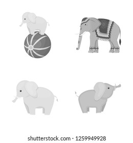 Vector design of elephant and asian icon. Set of elephant and elephant stock vector illustration.