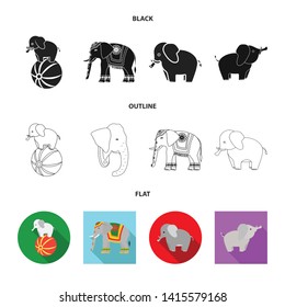 Vector design of elephant and asian icon. Collection of elephant and elephant vector icon for stock.