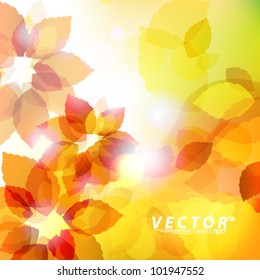 Vector Design - eps10 Autumn Concept Illustration