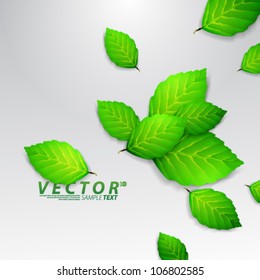 Vector Design - eps10 Eco Green Concept with Branch of Leaves Background