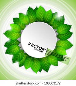 Vector Design - eps10 Eco Green Concept with Branch of Leaves Background