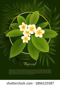 Vector design with exotic palm leaves and colorful plumeria flowers on dark background
