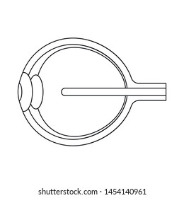 Vector design of eyeball and eye icon. Set of eyeball and organ vector icon for stock.
