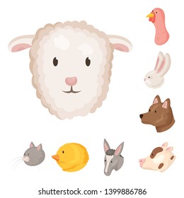 Vector design of farm and head icon. Collection of farm and homemade vector icon for stock.