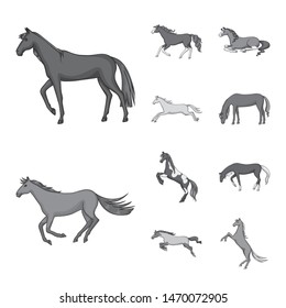 Vector design of farm and riding logo. Collection of farm and equestrian stock vector illustration.