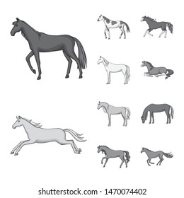 Vector design of farm and riding sign. Collection of farm and equestrian stock vector illustration.