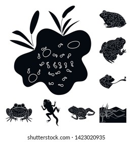 Vector design of fauna and reptile icon. Collection of fauna and anuran vector icon for stock.