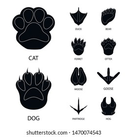 Vector design of feet and fauna sign. Set of feet and print stock vector illustration.