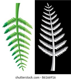 vector design of fern leaves