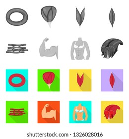 Vector design of fiber and muscular icon. Set of fiber and body  stock symbol for web.