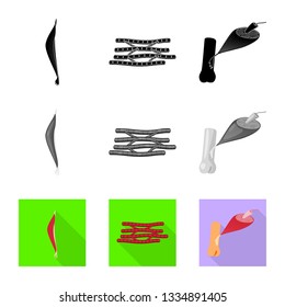 Vector design of fiber and muscular icon. Set of fiber and body  vector icon for stock.