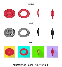 Vector design of fiber and muscular icon. Collection of fiber and body  stock symbol for web.