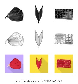 Vector design of fiber and muscular icon. Set of fiber and body  vector icon for stock.