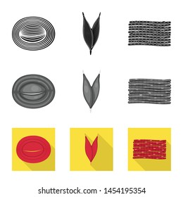 Vector design of fiber and muscular icon. Collection of fiber and body stock symbol for web.