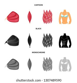 Vector design of fiber and muscular logo. Set of fiber and body  stock symbol for web.