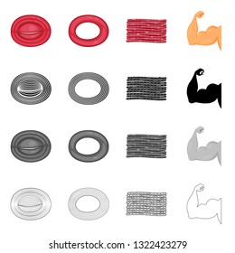 Vector design of fiber and muscular logo. Set of fiber and body  vector icon for stock.