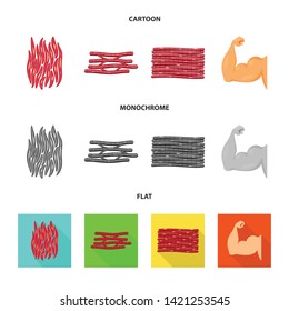 Vector design of fiber and muscular logo. Set of fiber and body  vector icon for stock.