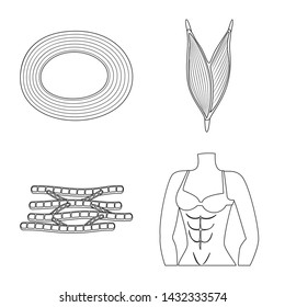 Vector design of fiber and muscular logo. Collection of fiber and body stock symbol for web.