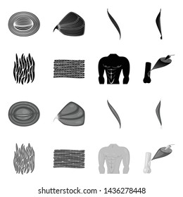 Vector design of fiber and muscular logo. Collection of fiber and body stock vector illustration.