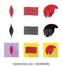 Vector design of fiber and muscular logo. Collection of fiber and body stock vector illustration.