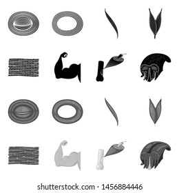 Vector design of fiber and muscular logo. Collection of fiber and body vector icon for stock.