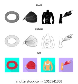 Vector design of fiber and muscular sign. Set of fiber and body  stock symbol for web.