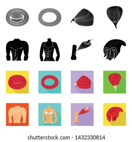 Vector design of fiber and muscular sign. Set of fiber and body stock symbol for web.