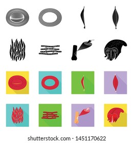 Vector design of fiber and muscular sign. Collection of fiber and body stock vector illustration.