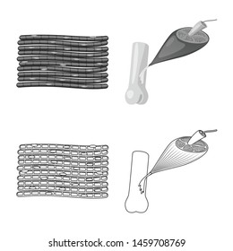 Vector design of fiber and muscular sign. Collection of fiber and body vector icon for stock.