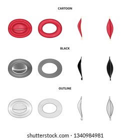 Vector design of fiber and muscular symbol. Collection of fiber and body  stock vector illustration.