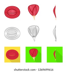 Vector design of fiber and muscular symbol. Collection of fiber and body  stock vector illustration.