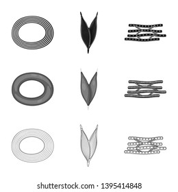 Vector design of fiber and muscular symbol. Collection of fiber and body  vector icon for stock.