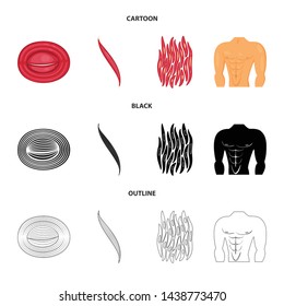 Vector design of fiber and muscular symbol. Set of fiber and body stock vector illustration.