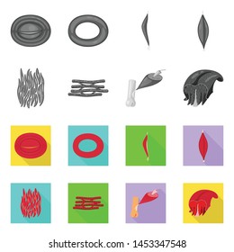Vector design of fiber and muscular symbol. Collection of fiber and body stock vector illustration.