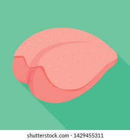 Vector design of fillet and chicken sign. Collection of fillet and fresh stock symbol for web.