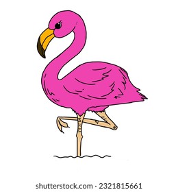 vector design of a flaminggo bird with pink color lifting one of its legs this design is perfect to use as a leaflet or as a zoo illustration