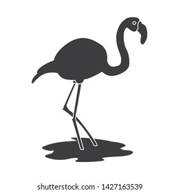Vector design of flamingo and pink logo. Set of flamingo and funny stock vector illustration.