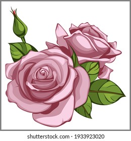 vector design flower art illustration