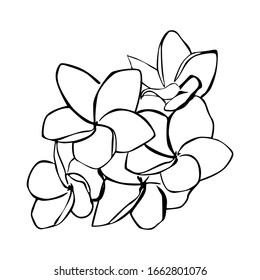 Vector Design of Flower in Black and White